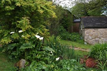 A lovely garden at the front of the cottage, with a stone shed tucked away in the corner.
