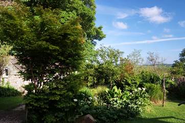 Such a pretty garden.