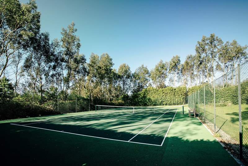 The tennis court is set within five acres of grounds.