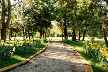 Pathways through the grounds at The Emerald.