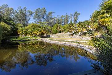 The ornamental lake is full of pretty fish.