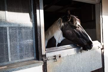 This chap is a little camera shy!