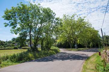 The little lane to the left takes you to Apple Blossom's meadow.