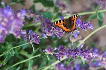 Wildlife abounds in this beautiful setting.