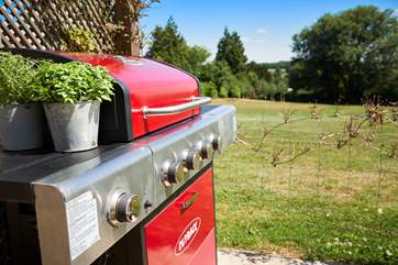 Cook up a storm on the barbecue.
