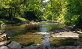 The pretty river Dart. - Thumbnail Image