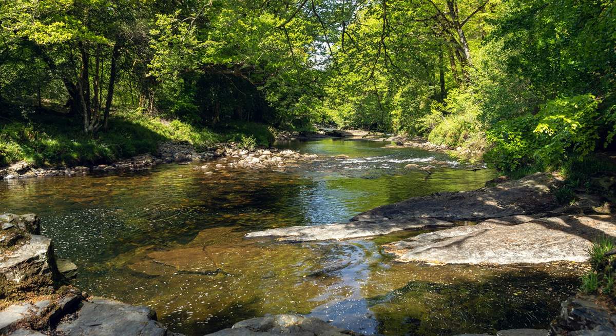 The pretty river Dart.