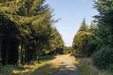 Hartland is a wonderful place to explore.