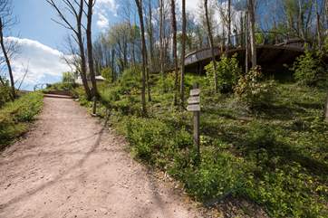 The path leading up to Buzzard.