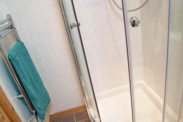 The shower-room is compact but fully kitted out.