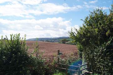 There are plenty of local footpaths to explore. For the energetic, Sidmouth is only three miles away!