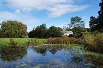 Another view of the reserve across the road, looking back towards the row of cottages. The white cottage in view is the neighbour to St Giles (which is behind the trees).
