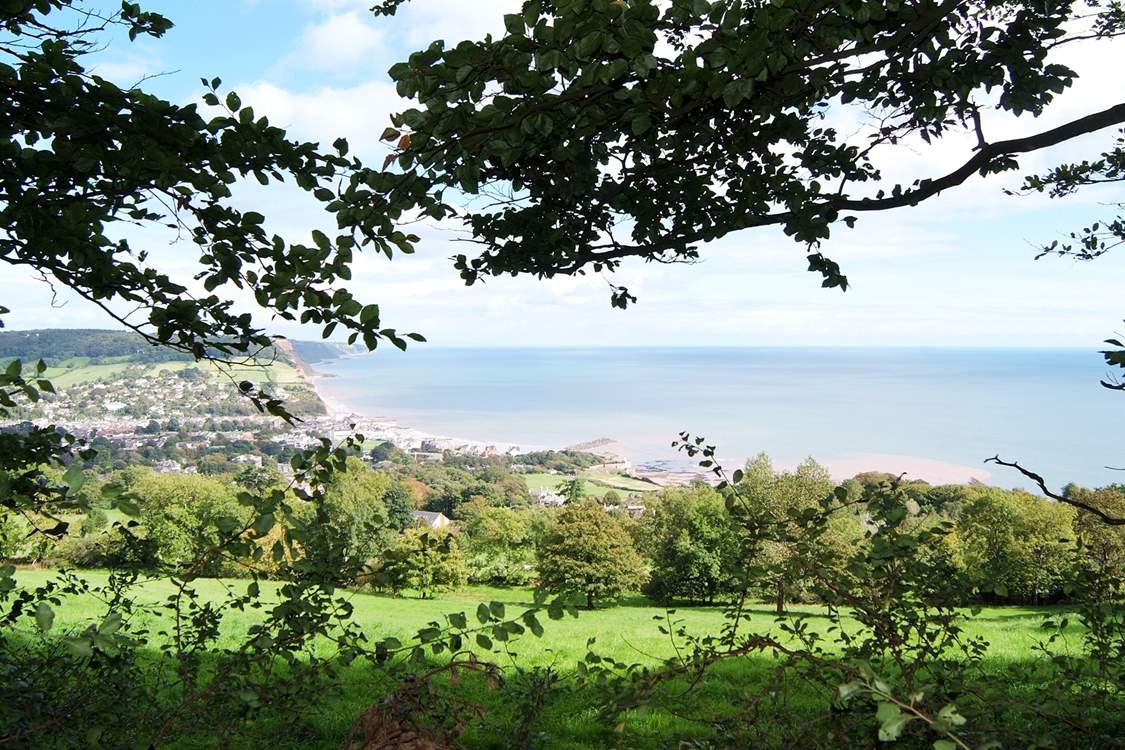 There is a wonderful route between Sidmouth and Budleigh Salterton - well worth exploring for the fabulous views. This is Sidmouth.