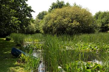 A haven for wildlife - what kinds of birds will you spot?