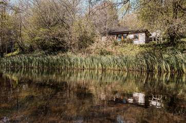 Ashley's Shack is a a dreamy escape any time of the year.