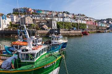 Brixham isn't far and is a pretty place to visit.