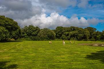 The grounds are there for you to enjoy.