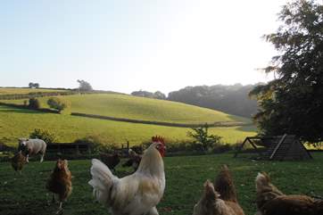 The garden for the cottage overlooks this little field and the view opens out beyond.