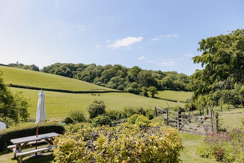 The garden for the cottage overlooks this little field and the view opens out beyond.