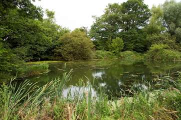 The natural wildlife lake is in the lower meadow and is fully fenced but please take care with children.