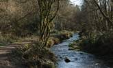 The Blackdown Hills can be reached in 30- minutes. This is Otterhead Lakes walk, a lovely circular route which is dog-friendly.  - Thumbnail Image