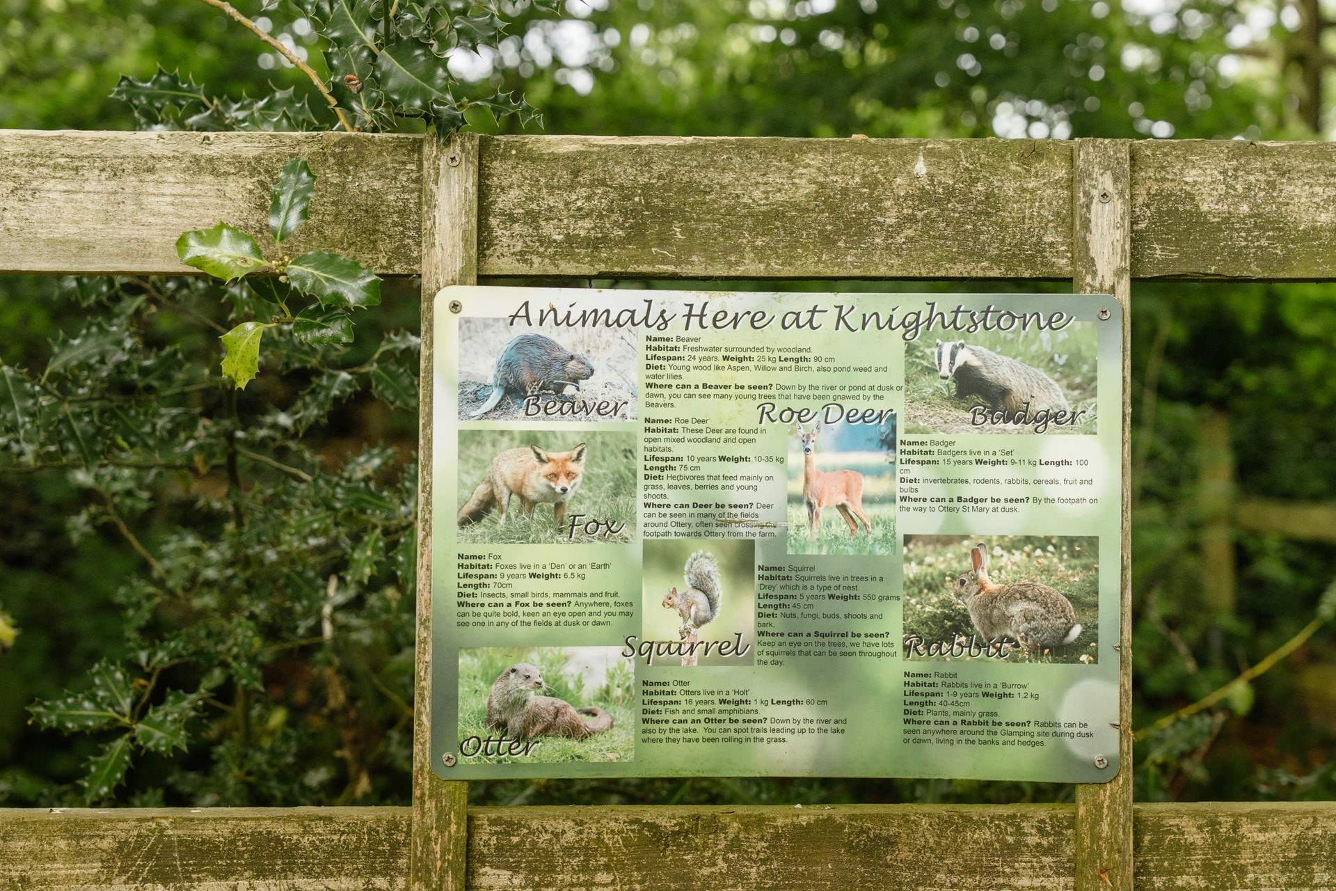You may be lucky enough to spot a variety of wildlife from deer to otters… an unforgettable escape to nature.