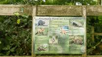 You may be lucky enough to spot a variety of wildlife from deer to otters… an unforgettable escape to nature.