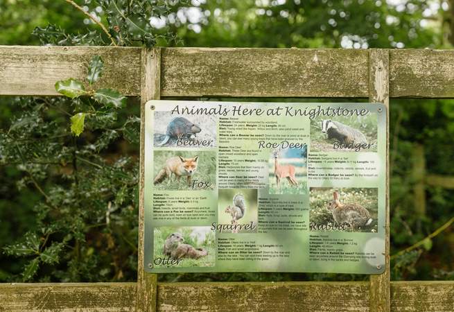 You may be lucky enough to spot a variety of wildlife from deer to otters… an unforgettable escape to nature.