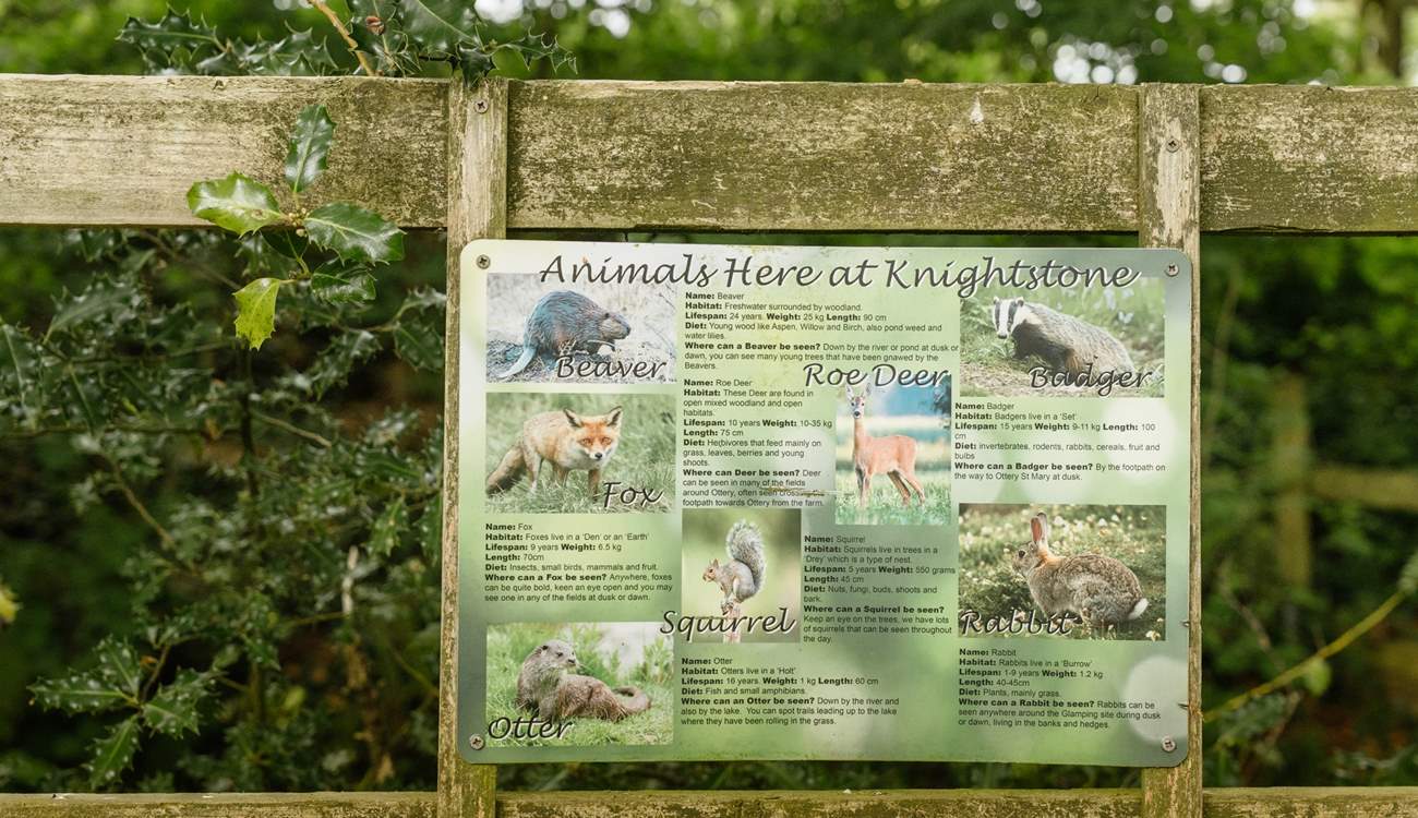 You may be lucky enough to spot a variety of wildlife from deer to otters… an unforgettable escape to nature.