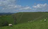 From the garden, views across to neaby Eggardon Hill, a National Trust owned Iron Age hill fort, which overlooks West Hembury Farm and out towards the Jurassic Coast. - Thumbnail Image