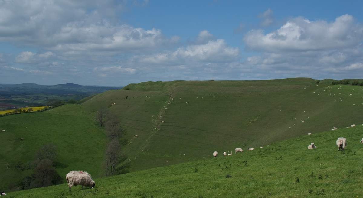 From the garden, views across to neaby Eggardon Hill, a National Trust owned Iron Age hill fort, which overlooks West Hembury Farm and out towards the Jurassic Coast.