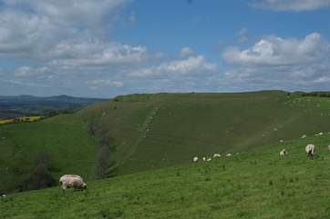 From the garden, views across to neaby Eggardon Hill, a National Trust owned Iron Age hill fort, which overlooks West Hembury Farm and out towards the Jurassic Coast.