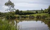 This beautiful pond is just across the road from the farm. - Thumbnail Image