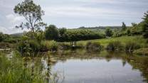 This beautiful pond is just across the road from the farm.