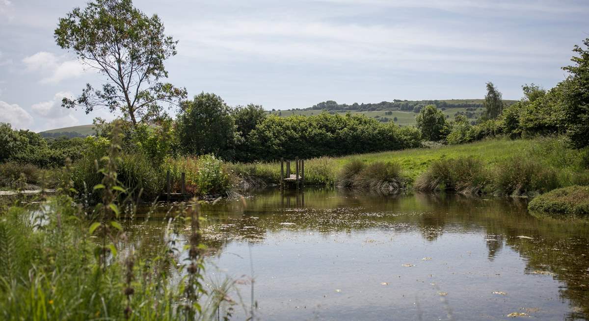 This beautiful pond is just across the road from the farm.