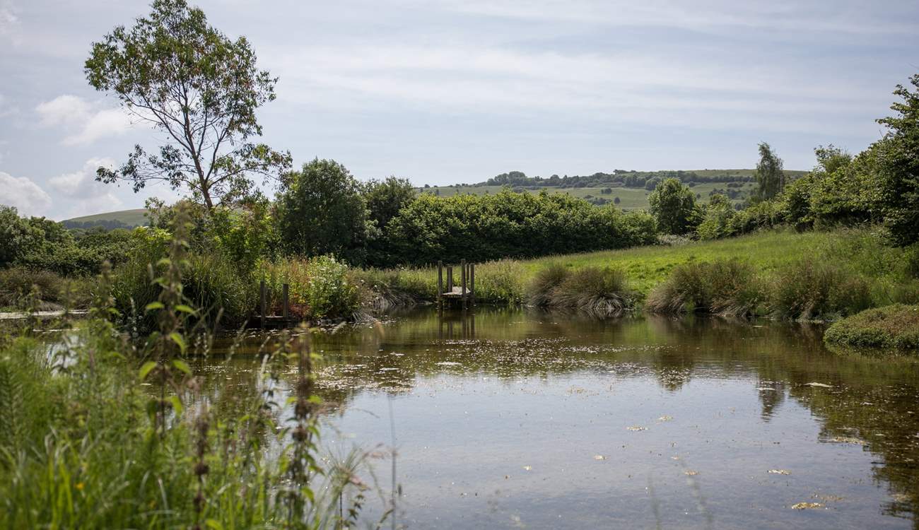 This beautiful pond is just across the road from the farm.