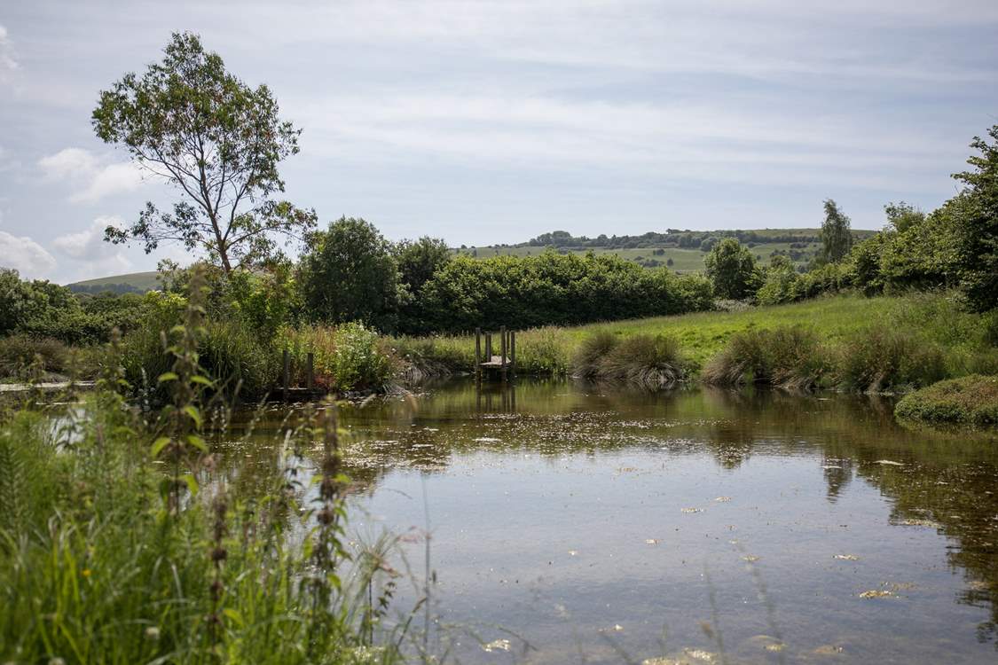 This beautiful pond is just across the road from the farm.