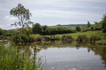 This beautiful pond is just across the road from the farm.