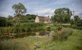 Across the lane the pond has a variety of visitors from summer dragonfly to the owners' Gotland sheep. - Thumbnail Image