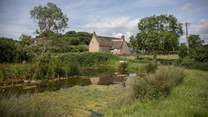 Across the lane the pond has a variety of visitors from summer dragonfly to the owners' Gotland sheep.