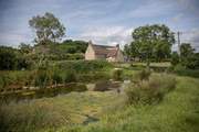 Across the lane the pond has a variety of visitors from summer dragonfly to the owners' Gotland sheep.