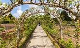 Spend the day at the Lost Gardens of Heligan. - Thumbnail Image