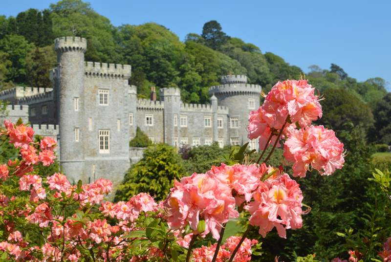 Visit Caerhays Castle in spring and enjoy the stunning gardens.