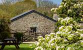 Looking from the orchard garden back to the barns. - Thumbnail Image