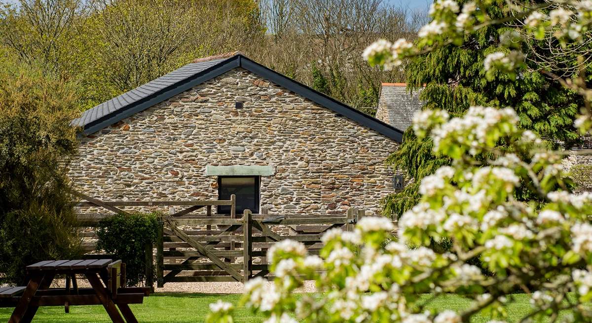 Looking from the orchard garden back to the barns.