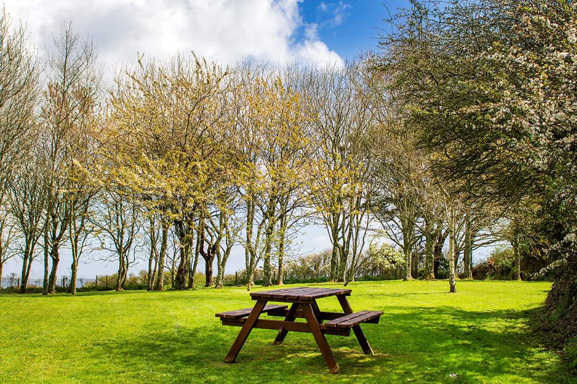 The orchard garden is shared with Lowenna.