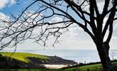 Glimpses of Porthcurnick beach from the garden. - Thumbnail Image