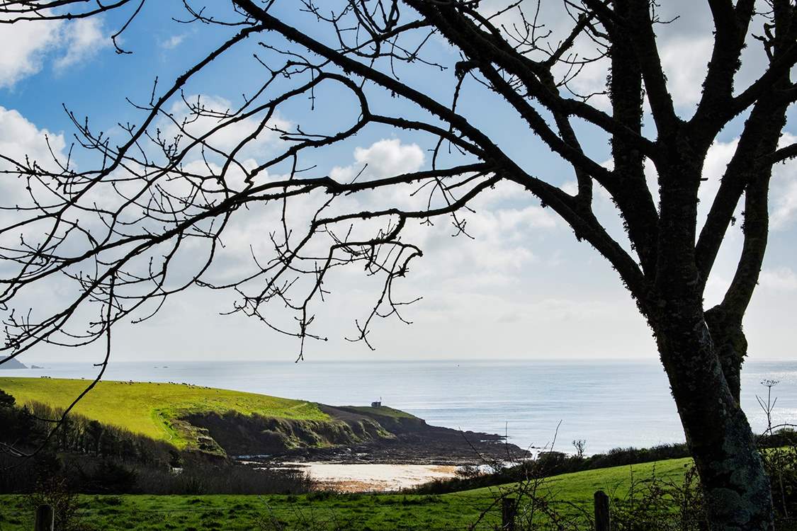 Glimpses of Porthcurnick beach from the orchard garden.