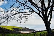 Glimpses of Porthcurnick beach from the orchard garden.