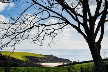 Glimpses of Porthcurnick beach from the orchard garden.